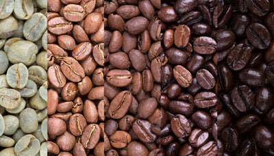 The Top 10 Most Popular Coffee Roasts